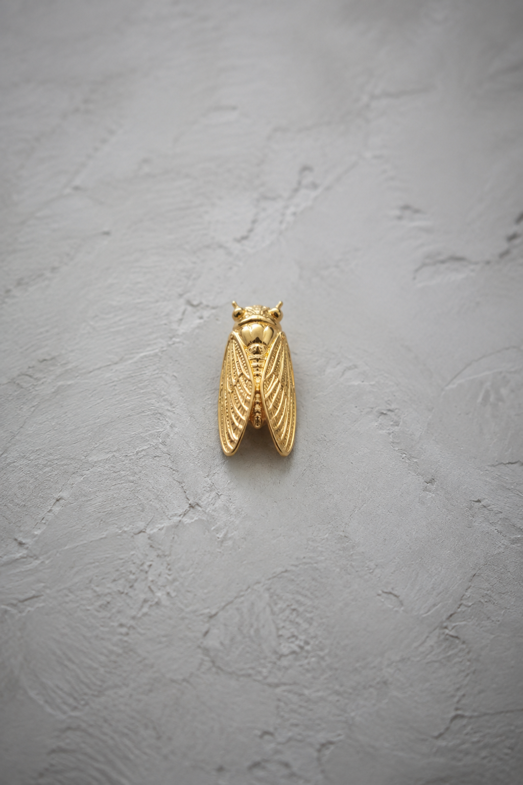 Cicada brooch collection